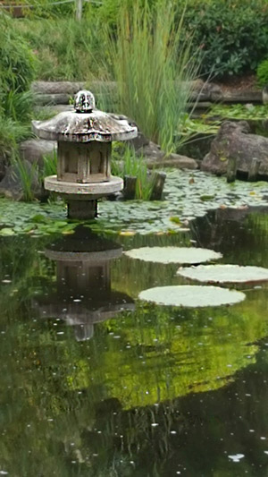 Japanese-water-garden-web