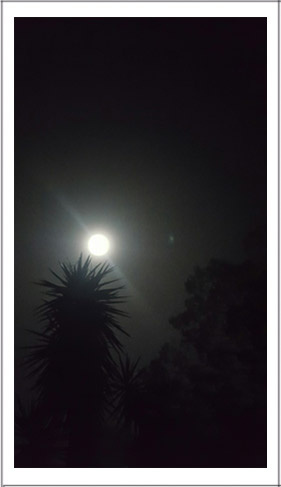 this-valley-4-for-web