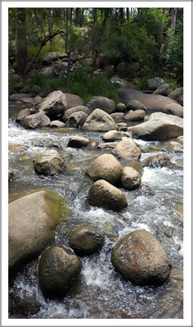 cascade-trail-for-web