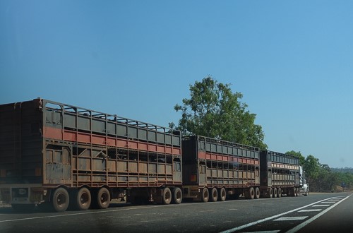 road train 2