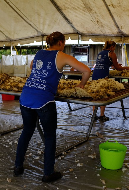 dust motes vanessa 1