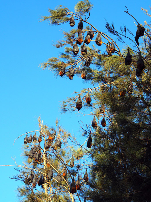 rock-concert-2-for-web