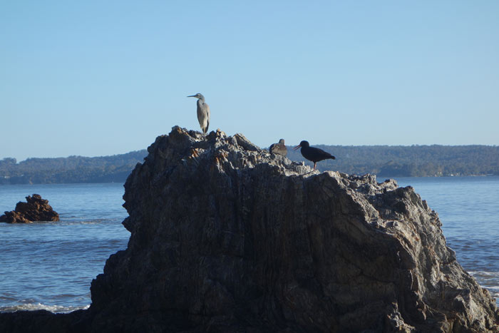 on-another-rock-for-web