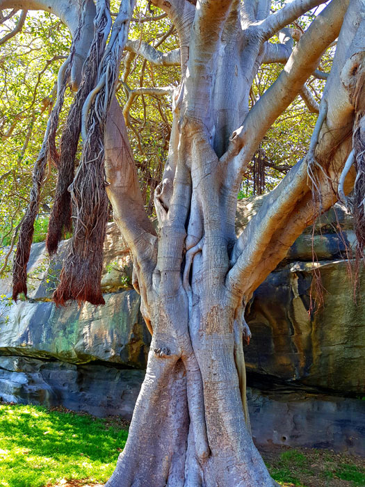 sculpture-garden-2.-for-webjpg