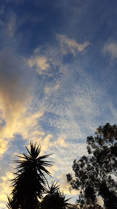 pastel-sky-2-for-web