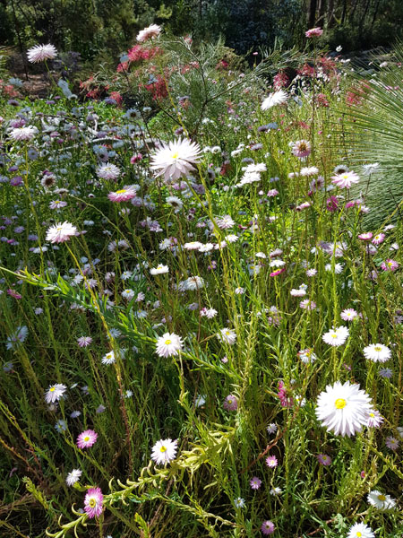 by-the-weir-2-for-web