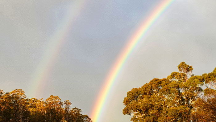 double-rainbow-for-web