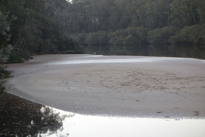 tidal-mudflats-for-web
