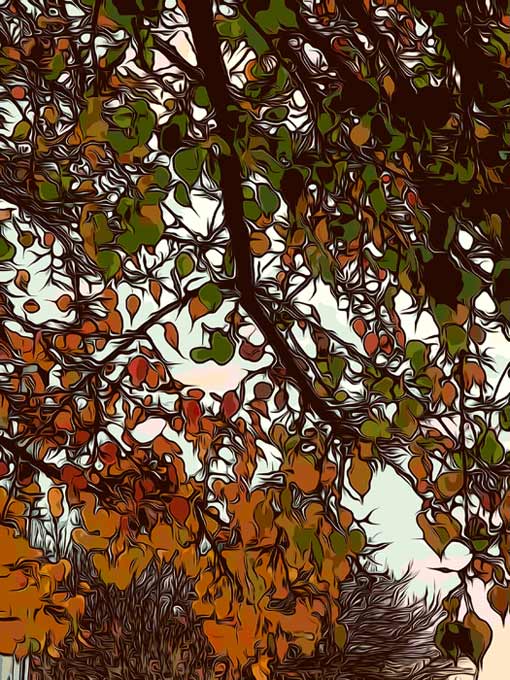 autumn-sunshine-for-web