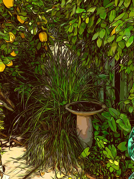 city-courtyard-edited-for-web