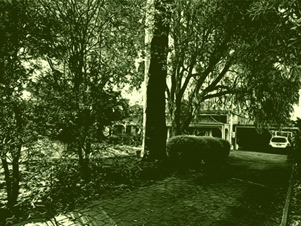 dawn-driveway-2.-for-web-jpg