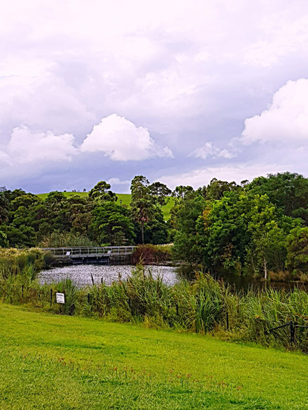 faces-in-the-clouds-for-web3