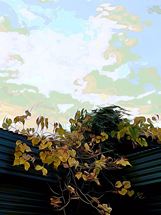 Hungarian-Rhapsody-for-web