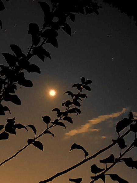 into-the-night-4-for-web