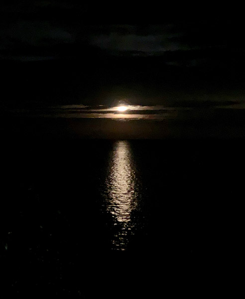 cold-wind.-for-webjpg