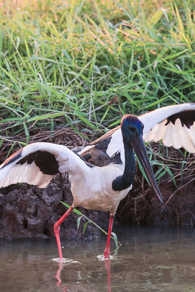 Coowinda-mistfor-web