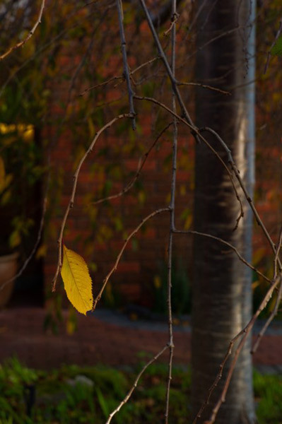 breath-of-wind.-for-webjpg