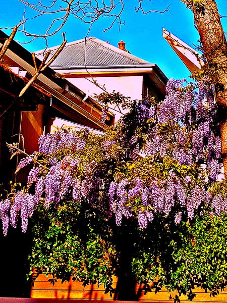 family-secrets-for-web