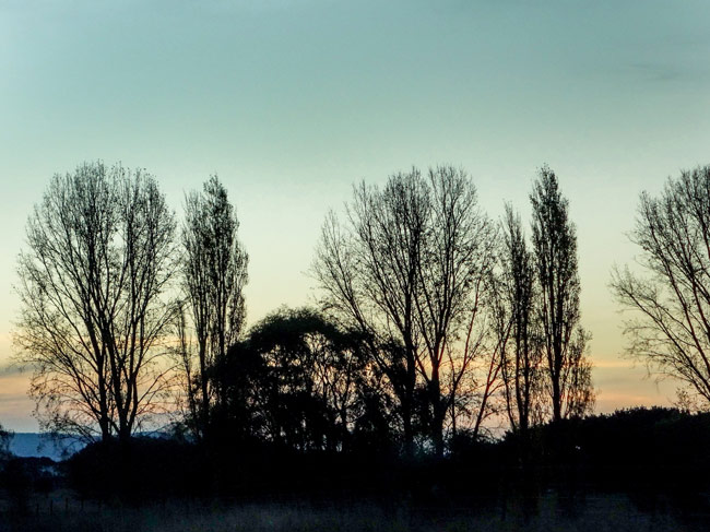 gathering-dark.-for-webjpg