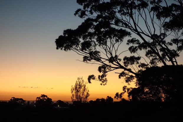 ochre-sunset.-for-webjpg