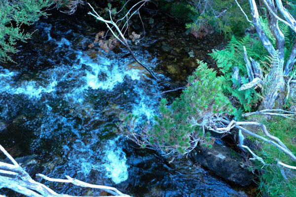 a-walk-with-my-ex.for-webjpg