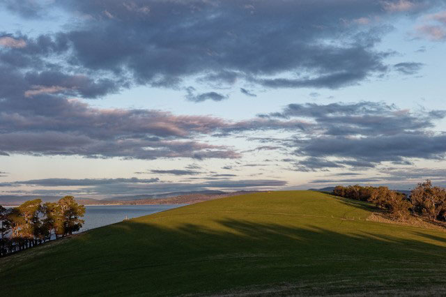 last-of-the-day-for-web